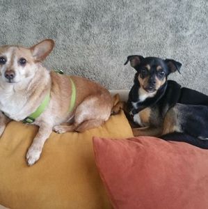 Meet your Posher, Jennifer